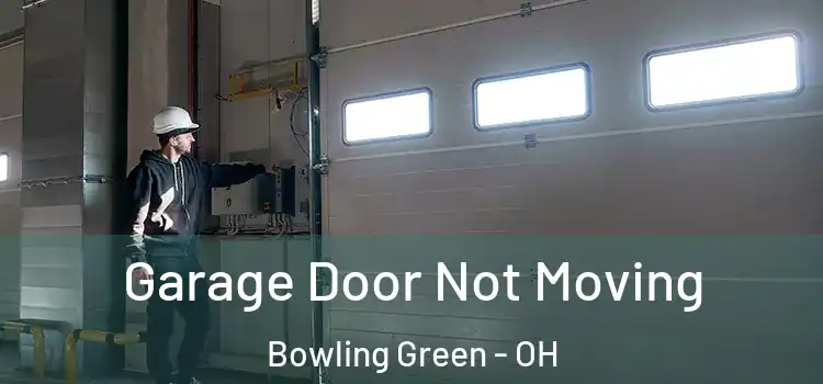  Garage Door Not Moving Bowling Green - OH
