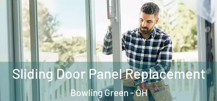  Sliding Door Panel Replacement Bowling Green - OH